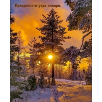Прекрасного утра января.