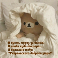 Я пожелаю тебе:  «Февральского доброго утра!»