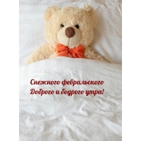 Снежного февральского доброго и бодрого утра!