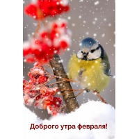 Доброго утра февраля!