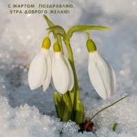 С мартом поздравляю, Утра доброго желаю!