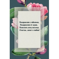 Поздравляю с юбилеем, поздравляю от души, пожелать хочу веселья