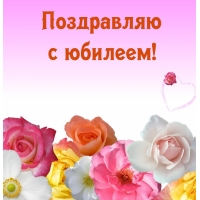 Поздравляю с юбилеем!