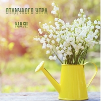 Отличного утра мая!