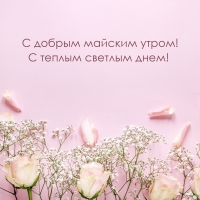 С добрым майским утром! С теплым светлым днем!