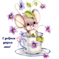 С добрым утром мая!
