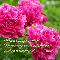 Доброго утра июня! Отличного самочувствия, улыбок и радости!
