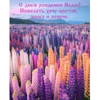 С днем рождения Нелли! Пожелать хочу цветов, много и поярче.