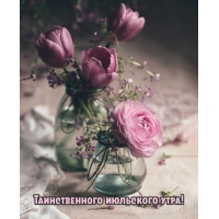 Таинственного июльского утра!