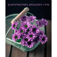 Благоприятного июльского утра!