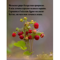 Июльское утро всегда так прекрасно. В нём хочется просто немного парить.