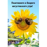 Позитивного и бодрого августовского утра!
