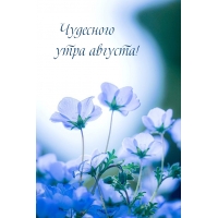 Чудесного утра августа!