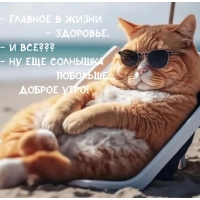 Доброе утро! — Главное в жизни – здоровье. — Ну еще солнышка