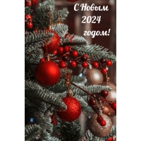 С Новым 2024 годом!