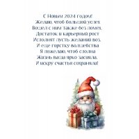 С Новым 2024! Чтоб большой успех вошел с ним также без помех