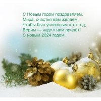 С Новым 2024 годом поздравляем, мира, счастья вам желаем