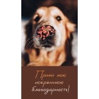 Прими мою искреннюю благодарность!