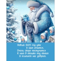 Новый 2025 год уже к нам мчится