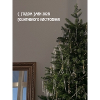 С Годом Змеи 2025! Позитивного настроения!