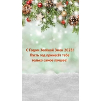 С Годом Зелёной Змеи 2025! Пусть год принесёт только самое лучшее!
