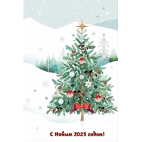 С Новым 2025 годом!