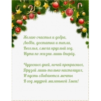 Счастья и добра, любви, достатка и тепла год мудрой миленькой Змеи!