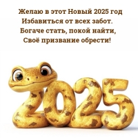 Желаю в этот Новый 2025 год избавиться от всех забот.
