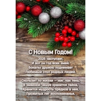 С новым годом! 2025 наступает, и вот он год всех змей.