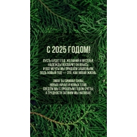 С 2025 годом! Пусть будет год: желаний и веселья