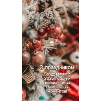 С 2025 годом и желаю самых счастливых моментов!