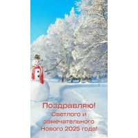Поздравляю! Светлого и замечательного Нового 2025 года!
