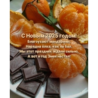 С Новым 2025! Благоухают мандарины, нарядна ёлка, как на бал.