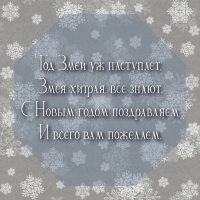 С Новым годом поздравляем и всего вам пожелаем.