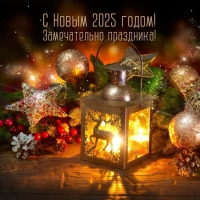 Замечательно праздника! С Новым 2025 годом!
