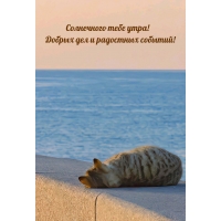 Солнечного тебе утра! Добрых дел и радостных событий!