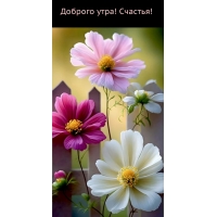 Доброго утра! Счастья!